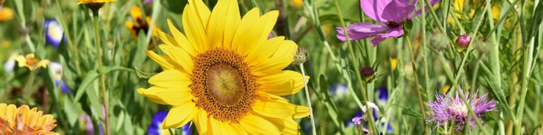 Umsetzungsstand Klimaschutzkonzept Mühltal – Tabelle
